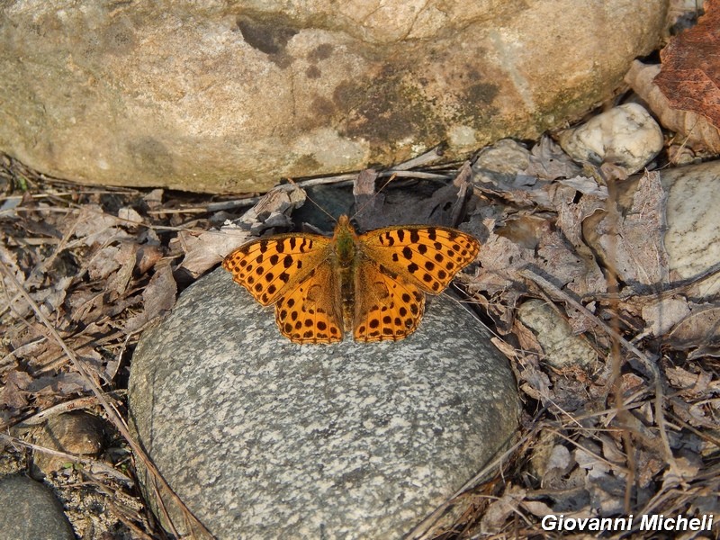 Parco del ticino: incontri del 4/10/14